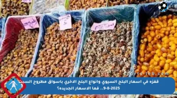 قفزة في أسعار البلح السيوي وأنواع البلح الأخرى بأسواق مطروح السبت 9-8-2025.. فما الأسعار الجديدة؟